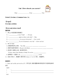 初中英语人教新目标 (Go for it) 版八年级上册Section A学案设计