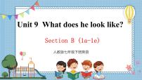 初中英语人教新目标 (Go for it) 版七年级下册Unit 9 What does he look like?Section B一等奖课件ppt