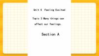 初中仁爱科普版Topic 3 Many things can affect our feelings.精品ppt课件