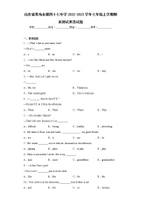 山东省青岛市第四十七中学2022-2023学年七年级上学期期末测试英语试题(含答案)