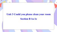 英语Section B完美版ppt课件