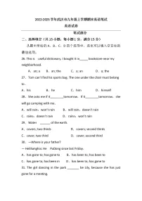 湖北省武汉市2022-2023学年九年级上学期期末考试英语模拟笔试试卷(含答案)