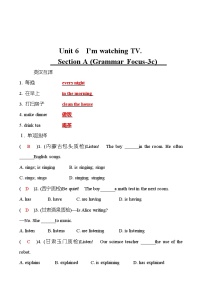 初中英语Section A课时练习