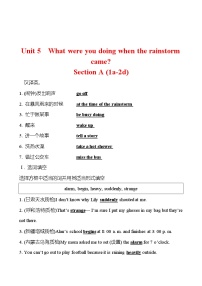 初中英语人教新目标 (Go for it) 版八年级下册Unit 5 What were you doing when the rainstorm came?Section A练习