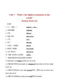 初中英语人教新目标 (Go for it) 版八年级下册Section B练习