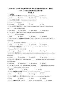 Unit 14【刷语法】时态复习(重点语法提升练)2022-2023学年九年级英语全一册单元模块满分必刷题（人教版）