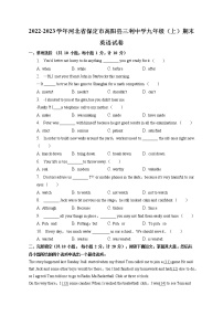 河北省保定市高阳县三利中学2022-2023学年九年级上学期期末英语试卷(含答案)