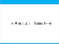 初中英语中考复习 【中考英语】人教版八年级上册 Units 5-6 复习课件