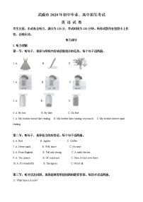 初中英语中考复习 精品解析：甘肃省武威市2020年中考英语试题（原卷版）