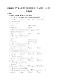 湖北省武汉市黄陂区双凤中学2022-2023学年七年级上学期期末英语试卷(含答案)