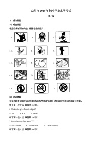 初中英语中考复习 精品解析：湖南省益阳市2020年中考英语试题（解析版）