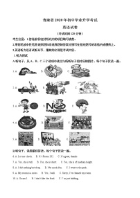 初中英语中考复习 精品解析：青海省2020年中考英语试题（解析版）