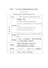 人教新目标 (Go for it) 版八年级上册Section B教案及反思