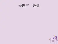 初中英语中考复习 中考英语总复习专题三数词课件