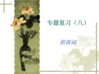 中考英语（人教新目标） 形容词 复习课件