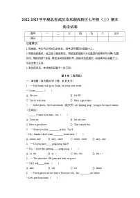 湖北省武汉市东湖高新区2022-2023学年七年级上学期期末考英语试题（有答案）