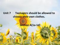 英语九年级全册Unit 7 Teenagers should be allowed to choose their own clothes.Section A课前预习课件ppt