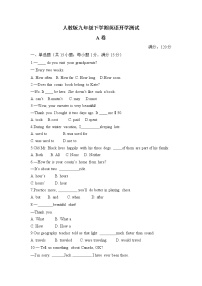 人教版九年级下学期英语开学测试练习 A卷