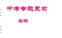 中考复习英语人教版  名词   课件
