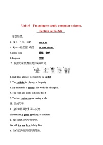 初中人教新目标 (Go for it) 版Unit 6 I’m going to study computer science.Section A当堂达标检测题