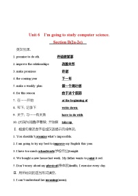 初中英语人教新目标 (Go for it) 版八年级上册Unit 6 I’m going to study computer science.Section B课时训练