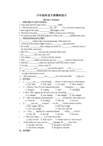 初中英语牛津译林版八年级下册Grammar达标测试