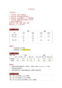 代词（含答案）——【中考二轮专题复习】2023年英语知识点专题精讲精练学案