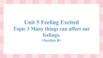 初中英语仁爱科普版八年级下册Topic 3 Many things can affect our feelings.教学演示ppt课件