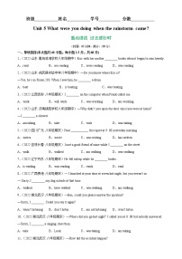 Unit 5 Grammar重点语法 过去进行时-2022-2023学年八年级英语下册单元重难点易错题精练（人教版）