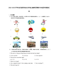 2022-2023学年山东省青岛市九年级上册英语期末专项提升模拟试卷(含解析)