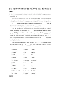广东省云浮市新兴县2022-2023学年九年级上学期期末英语试卷(含答案)