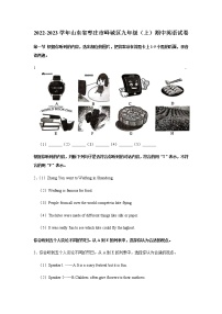 山东枣庄峄城区2022-2023学年九年级上学期期中英语试卷