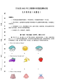 湖南省永州市宁远县2021-2022学年九年级下学期期中质量监测英语试题