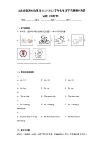 山东省临沂市临沭县2021-2022学年七年级下学期期中英语试题（含答案）