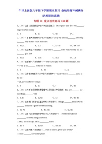 专题11 重点语法冠词100题（名校最新真题）-八年级英语下学期期末复习查缺补漏冲刺满分（牛津上海版）