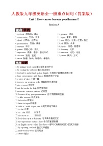 人教版九年级英语全一册重点词句答案背诵版