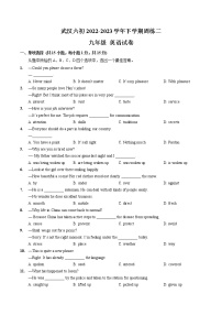 中考英语模拟测试卷--湖北省武汉六中上智中学2022-2023学年九年级下学期周练二英语试卷（有答案）