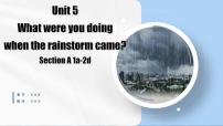 英语Unit 5 What were you doing when the rainstorm came?Section B教学ppt课件