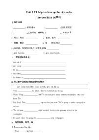 人教新目标 (Go for it) 版八年级下册Section B习题