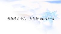 人教版中考英语复习考点精练十八九年级Units5－6教学课件