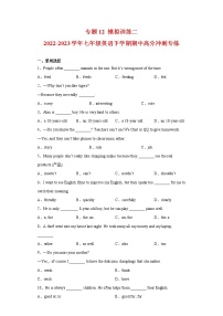 2022-2023学年人教新目标版英语七年级下学期期中专项冲刺：专题12 模拟训练二（原卷版+解析版）