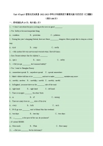 Unit 6 Topic 3【单元精练】——2022-2023学年仁爱版英语八年级下册单元综合复习（原卷版+解析版）