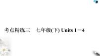 人教版中考英语复习考点精练三七年级(下)Units1－4作业课件