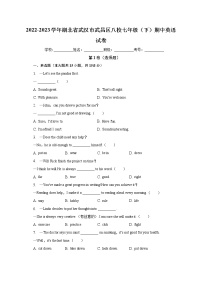 湖北省武汉市武昌区八校2022-2023学年七年级下学期期中英语试卷(含答案)