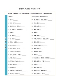 人教新目标初中英语课时17 九年级全册　Units 5～6-2023中考英语一轮总复习（人教新目标版）