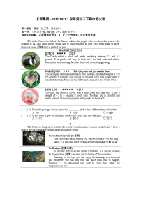 湖南省长郡集团2022-2023学年九年级下学期期中英语试卷+