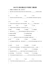 2023年上海市嘉定区中考英语二模试卷（含解析）
