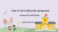 初中英语人教新目标 (Go for it) 版九年级全册Unit 12 Life is full of the unexpectedSection B精品课件ppt