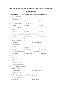 黑龙江省齐齐哈尔市讷河市2022-2023学年七年级上学期期末英语试卷