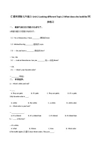 英语七年级上册Unit 3 Getting togetherTopic 2 What do your parents do?课后作业题